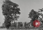Immagine di Il Tiergarten Berlino Germania, 1953, secondo 46 filmato di repertorio 65675065724