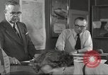 Image of Allied airlift Berlin Germany, 1953, second 50 stock footage video 65675065726