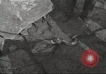 Image of removing rubble Berlin Germany, 1953, second 55 stock footage video 65675065728