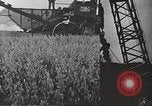 Image of Social Security Act United States USA, 1939, second 44 stock footage video 65675065743