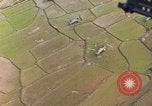 Standbild CH-46A Hubschrauber Quang Ngai Vietnam, 1967, aus Sekunde 41 historischem Filmmaterial Videoclip 65675065745
