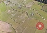 Standbild CH-46A Hubschrauber Quang Ngai Vietnam, 1967, aus Sekunde 45 historischem Filmmaterial Videoclip 65675065745