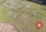 Standbild CH-46A Hubschrauber Quang Ngai Vietnam, 1967, aus Sekunde 46 historischem Filmmaterial Videoclip 65675065745