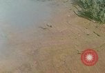 Standbild Marine Jet Jagdbomben Viet Cong Position Quang Ngai Vietnam, 1967, aus Sekunde 19 historischem Filmmaterial Videoclip 65675065746
