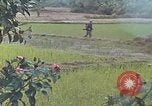 Standbild Operation Rio Grande Quang Ngai Vietnam, 1967, aus Sekunde 8 historischem Filmmaterial Videoclip 65675065747