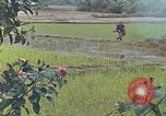 Standbild Operation Rio Grande Quang Ngai Vietnam, 1967, aus Sekunde 10 historischem Filmmaterial Videoclip 65675065747