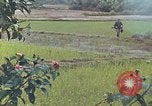 Standbild Operation Rio Grande Quang Ngai Vietnam, 1967, aus Sekunde 11 historischem Filmmaterial Videoclip 65675065747