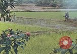 Standbild Operation Rio Grande Quang Ngai Vietnam, 1967, aus Sekunde 13 historischem Filmmaterial Videoclip 65675065747