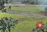 Standbild Operation Rio Grande Quang Ngai Vietnam, 1967, aus Sekunde 15 historischem Filmmaterial Videoclip 65675065747