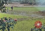 Standbild Operation Rio Grande Quang Ngai Vietnam, 1967, aus Sekunde 16 historischem Filmmaterial Videoclip 65675065747