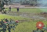Standbild Operation Rio Grande Quang Ngai Vietnam, 1967, aus Sekunde 18 historischem Filmmaterial Videoclip 65675065747