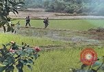 Standbild Operation Rio Grande Quang Ngai Vietnam, 1967, aus Sekunde 19 historischem Filmmaterial Videoclip 65675065747