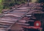 Standbild Operation Rio Grande Quang Ngai Vietnam, 1967, aus Sekunde 21 historischem Filmmaterial Videoclip 65675065747