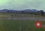 Immagine di Stati Uniti Marines in pattuglia Quang Ngai Vietnam, 1967, secondo 7 filmato di repertorio 65675065748