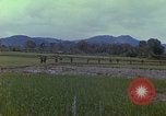 Immagine di Stati Uniti Marines in pattuglia Quang Ngai Vietnam, 1967, secondo 8 filmato di repertorio 65675065748