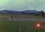 Immagine di Stati Uniti Marines in pattuglia Quang Ngai Vietnam, 1967, secondo 9 filmato di repertorio 65675065748