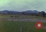 Immagine di Stati Uniti Marines in pattuglia Quang Ngai Vietnam, 1967, secondo 10 filmato di repertorio 65675065748