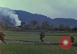 Immagine di Stati Uniti Marines in pattuglia Quang Ngai Vietnam, 1967, secondo 13 filmato di repertorio 65675065748