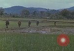 Immagine di Stati Uniti Marines in pattuglia Quang Ngai Vietnam, 1967, secondo 34 filmato di repertorio 65675065748