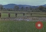 Immagine di Stati Uniti Marines in pattuglia Quang Ngai Vietnam, 1967, secondo 36 filmato di repertorio 65675065748