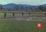 Immagine di Stati Uniti Marines in pattuglia Quang Ngai Vietnam, 1967, secondo 38 filmato di repertorio 65675065748