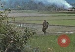Immagine di Stati Uniti Marines in pattuglia Quang Ngai Vietnam, 1967, secondo 42 filmato di repertorio 65675065748