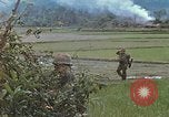 Immagine di Stati Uniti Marines in pattuglia Quang Ngai Vietnam, 1967, secondo 43 filmato di repertorio 65675065748