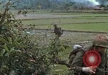 Immagine di Stati Uniti Marines in pattuglia Quang Ngai Vietnam, 1967, secondo 45 filmato di repertorio 65675065748