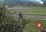Immagine di Stati Uniti Marines in pattuglia Quang Ngai Vietnam, 1967, secondo 46 filmato di repertorio 65675065748