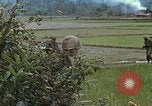 Immagine di Stati Uniti Marines in pattuglia Quang Ngai Vietnam, 1967, secondo 49 filmato di repertorio 65675065748