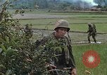Immagine di Stati Uniti Marines in pattuglia Quang Ngai Vietnam, 1967, secondo 50 filmato di repertorio 65675065748