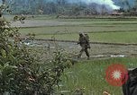Immagine di Stati Uniti Marines in pattuglia Quang Ngai Vietnam, 1967, secondo 52 filmato di repertorio 65675065748