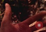 Standbild Vereinigten Staaten Marines Con Thien Vietnam, 1967, aus Sekunde 1 historischem Filmmaterial Videoclip 65675065751