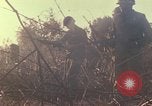 Standbild Vereinigten Staaten Marines Con Thien Vietnam, 1967, aus Sekunde 5 historischem Filmmaterial Videoclip 65675065751