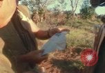 Standbild US Marines voraus Con Thien Vietnam, 1967, aus Sekunde 31 historischem Filmmaterial Videoclip 65675065752