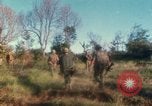 Standbild US Marines voraus Con Thien Vietnam, 1967, aus Sekunde 50 historischem Filmmaterial Videoclip 65675065752