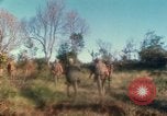 Standbild US Marines voraus Con Thien Vietnam, 1967, aus Sekunde 51 historischem Filmmaterial Videoclip 65675065752