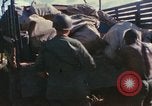 Standbild USA Soldaten Vietnam, 1966, aus Sekunde 17 historischem Filmmaterial Videoclip 65675065753