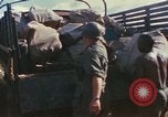 Standbild USA Soldaten Vietnam, 1966, aus Sekunde 18 historischem Filmmaterial Videoclip 65675065753