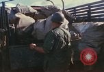 Standbild USA Soldaten Vietnam, 1966, aus Sekunde 20 historischem Filmmaterial Videoclip 65675065753