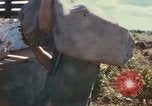 Standbild USA Soldaten Vietnam, 1966, aus Sekunde 25 historischem Filmmaterial Videoclip 65675065753