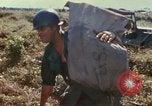Standbild USA Soldaten Vietnam, 1966, aus Sekunde 34 historischem Filmmaterial Videoclip 65675065753