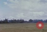 Image of Operation Attleboro Dau Tieng Vietnam, 1966, second 47 stock footage video 65675065757
