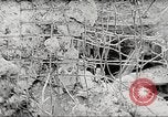 Immagine di Invasione tedesca dell Unione Sovietica Unione Sovietica, 1941, secondo 19 filmato di repertorio 65675065784