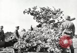Image of German Operation Barbarossa Soviet Union, 1941, second 12 stock footage video 65675065787