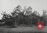 Image of German Operation Barbarossa Soviet Union, 1941, second 33 stock footage video 65675065787