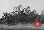Image of German Operation Barbarossa Soviet Union, 1941, second 34 stock footage video 65675065787