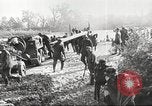 Standbild Deutsche Operation Barbarossa Invasion der Sowjetunion Weißrussland, 1941, aus Sekunde 25 historischem Filmmaterial Videoclip 65675065788