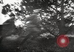 Image of Operation Barbarossa Soviet Union, 1941, second 58 stock footage video 65675065792
