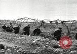 Immagine di Operazione Barbarossa Unione Sovietica, 1941, secondo 8 filmato di repertorio 65675065794